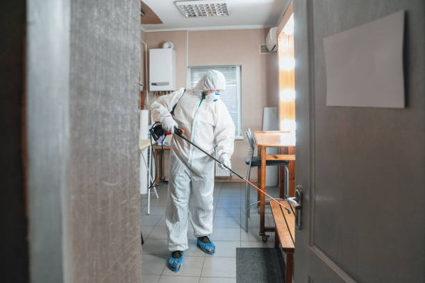 Best Residential Mold Inspection & Testing  in Gillette, WY