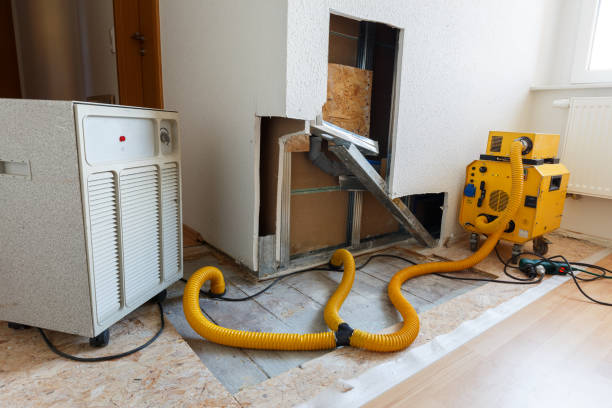 Best Water Damage & Mold Remediation  in Gillette, WY