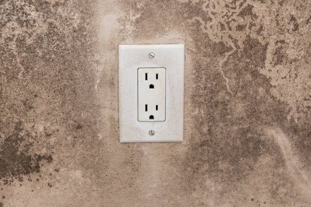 Best Mold Documentation for Insurance Claims  in Gillette, WY