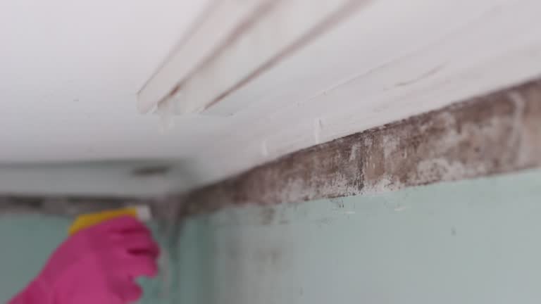 Mold Remediation for Rental Properties in Gillette, WY